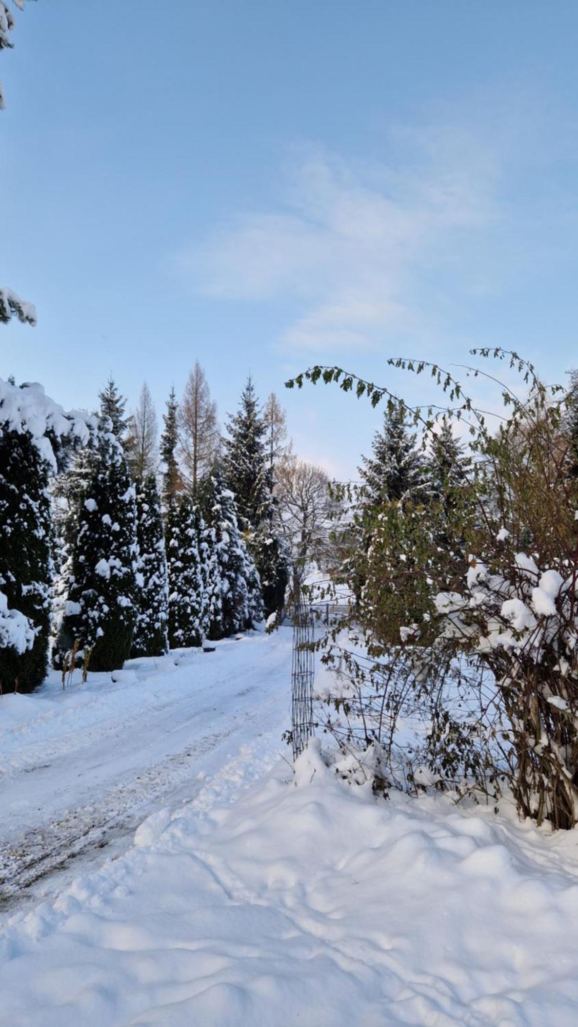 Agroturystyka Nad Cicha Villa Polanica-Zdroj Exterior photo